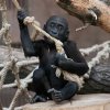 Foto: Tomáš Adamec, Zoo Praha