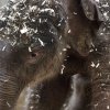 Foto: Tomáš Adamec, Zoo Praha