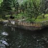 Foto (c) Tomáš Adamec, Zoo Praha