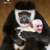 Fotografická kampaň (c) Zoo Praha