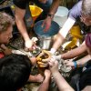 Cleaning of the penguins. Eight of them survived under a car, another one was captured in the river several hundred metres from the Zoo. Photo Vít Lukáš