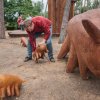 Foto: Sculpture Line