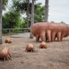 Foto: Sculpture Line