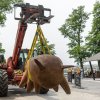 Foto: Petr Hamerník, Zoo Praha