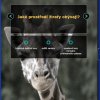 Dotykové obrazovky - žirafy
