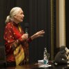 Přednáška Jane Goodall v Brožíkově sále na Staroměstské radnici. Foto: Václav Šilha, Zoo Praha