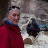 Návštěva Jane Goodall v Zoo Praha. Foto: Václav Šilha, Zoo Praha