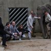 Hosté a kmotři navštívili mládě v chovatelském zázemí Údolí slonů. Foto: Václav Šilha, Zoo Praha