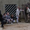 Během křtin hosté nahlédli také do vnitřní expozice Pavilonu slonů. Foto: Václav Šilha, Zoo Praha