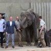Kmotři moderátor Karel Voříšek a režisér Jakub Kohák  během křtu v Pavilonu slonů. Foto: Václav Šilha, Zoo Praha