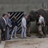 Během křtin hosté nahlédli také do vnitřní expozice Pavilonu slonů. Foto: Václav Šilha, Zoo Praha