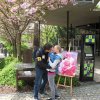 Májový polibek pod třešní v Zoo Praha. Foto: Zoo Praha