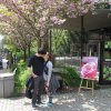 Májový polibek pod třešní v Zoo Praha. Foto: Zoo Praha