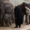 Profesor Josef Koutecký s malým Rudolfem. Foto: Václav Šilha, Zoo Praha