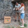 Kurátor chovu ptáků Antonín Vaidl a chovatelka Vendula Budková ve voliéře pražské zoo nakládají mláďata do transportních boxů. Foto: Miroslav Bobek, Zoo Praha.