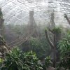 Foto: Tomáš Adamec, Zoo Praha