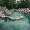 Foto: Tomáš Adamec, Zoo Praha