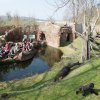 Foto: Tomáš Adamec, Zoo Praha