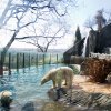 Foto: Tomáš Adamec, Zoo Praha