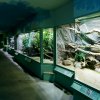 Foto: Tomáš Adamec, Zoo Praha