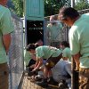 Querida is going to get antidote soon, and the keepers will push her into the crate. Photo Prague Zoo