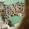 Foto: Tomáš Adamec, Zoo Praha