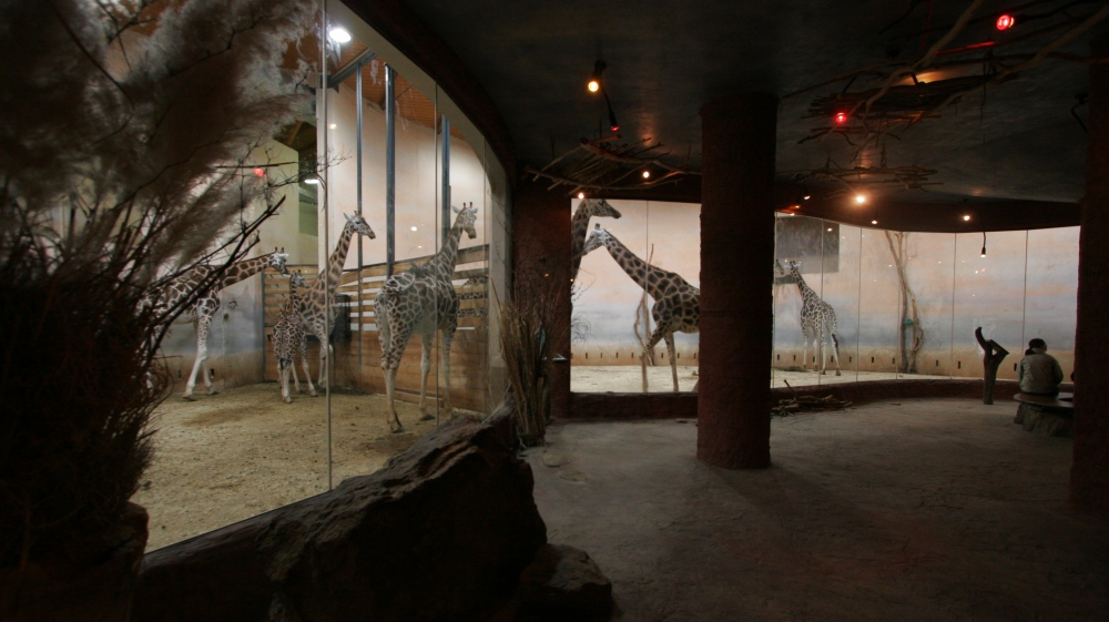 Africký dům, foto: Tomáš Adamec, Zoo Praha