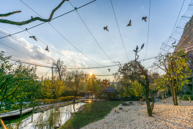 Africké skály. Foto: Petr Hamerník, Zoo Praha