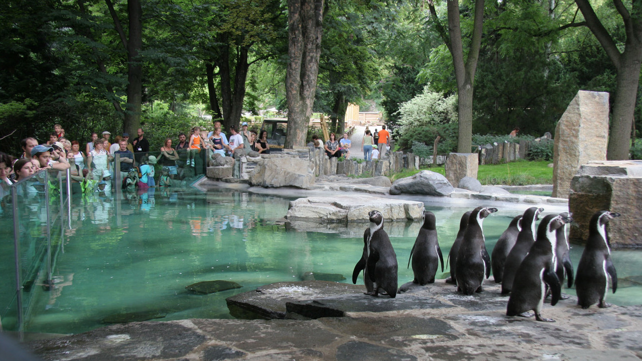 Zoo Truhe - Zoo-Tasse Pinguin