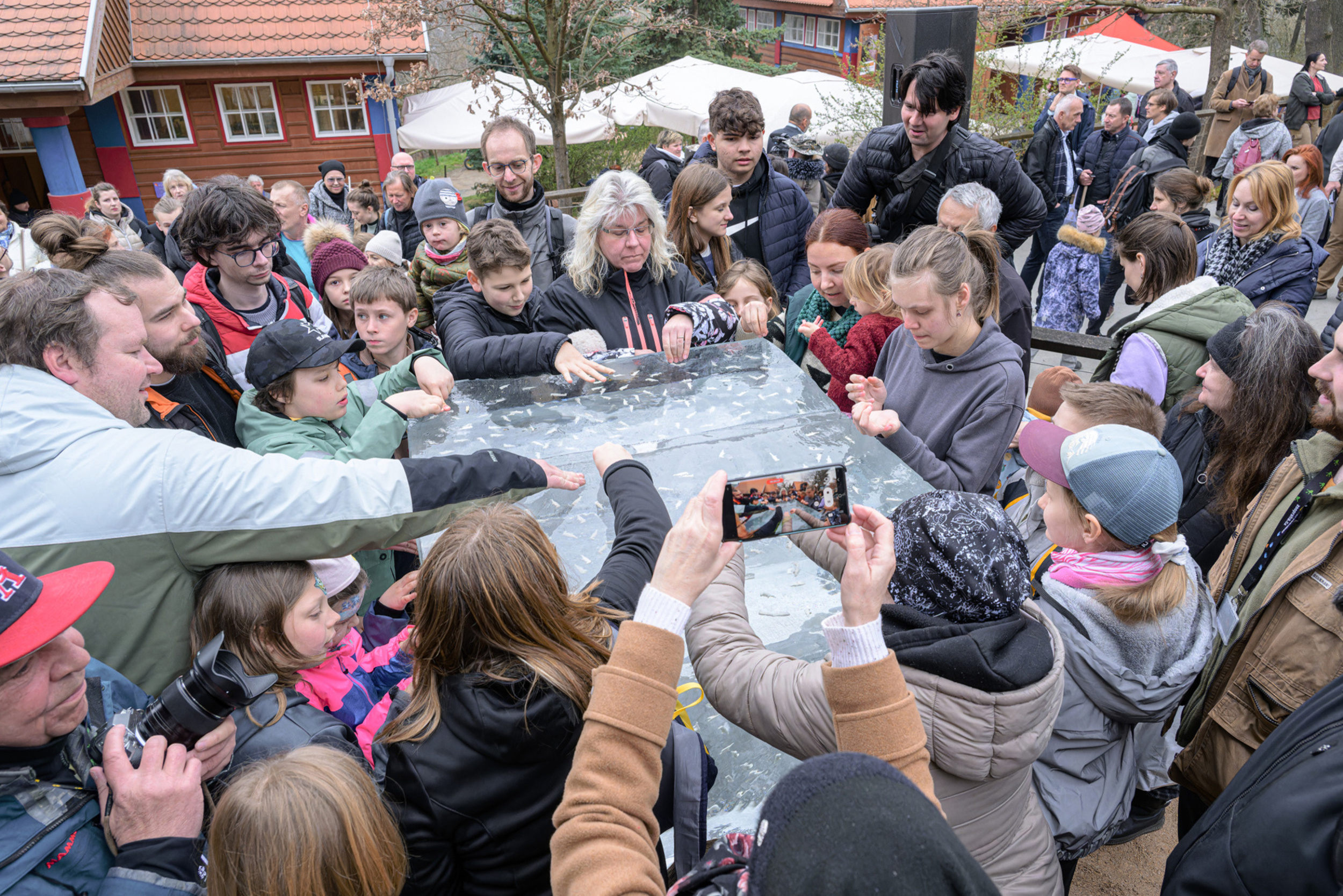 The frozen polar bear figurines garnered huge interest. Photo: Petr Hamerník, Prague Zoo
