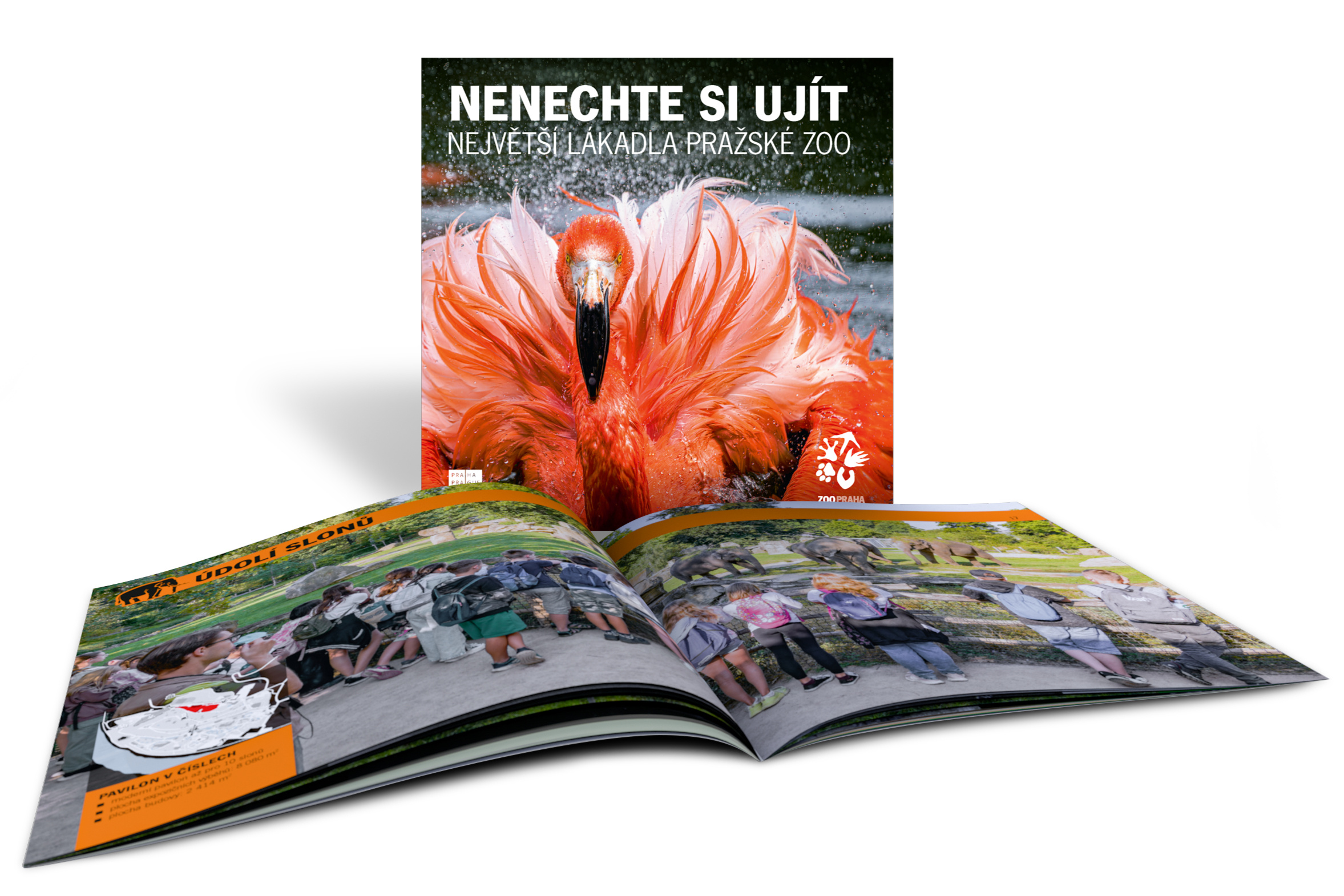 Don’t Miss This—that’s the title of the new brochure presenting Prague Zoo’s biggest attractions.